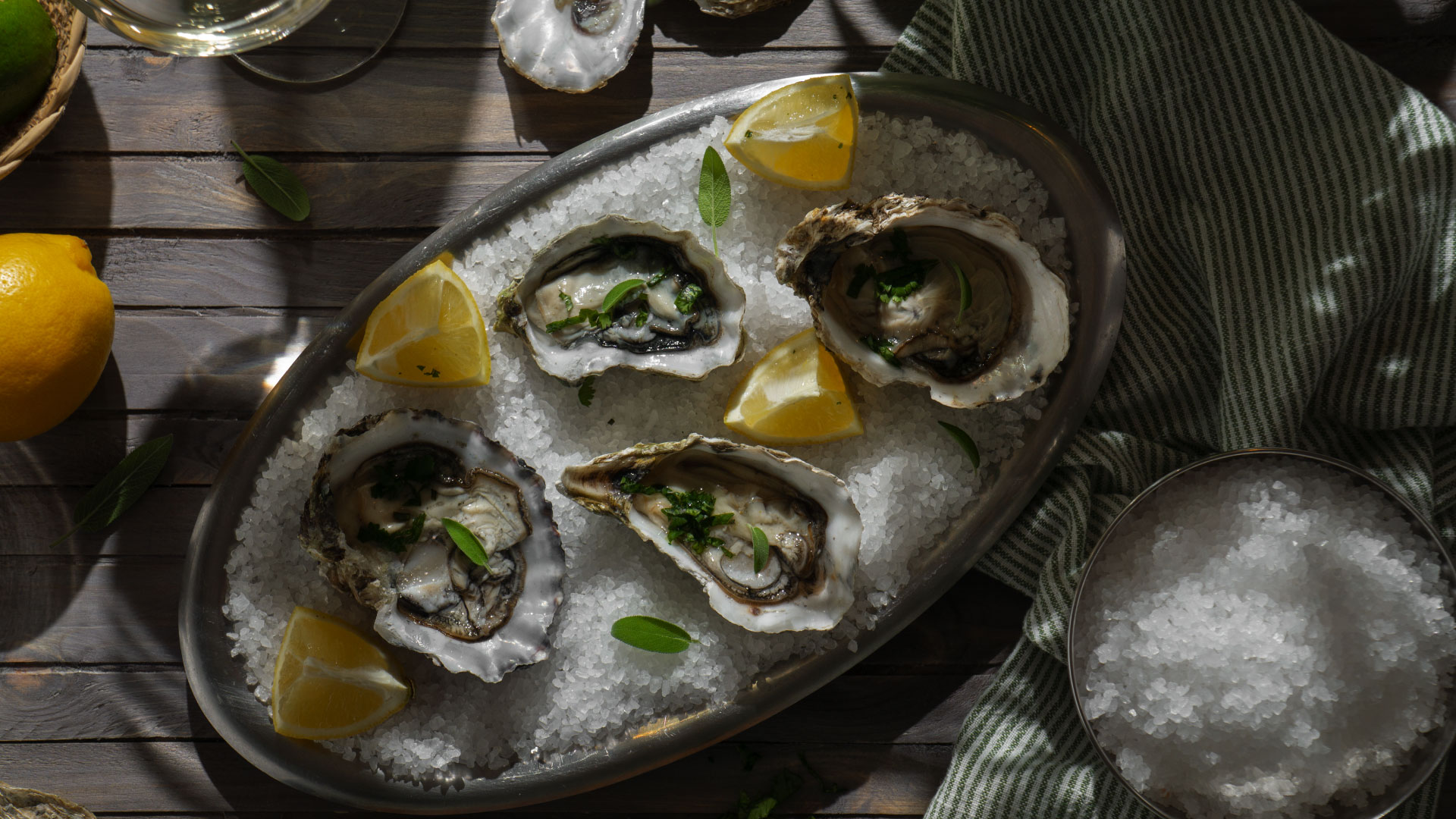 oyster croatia