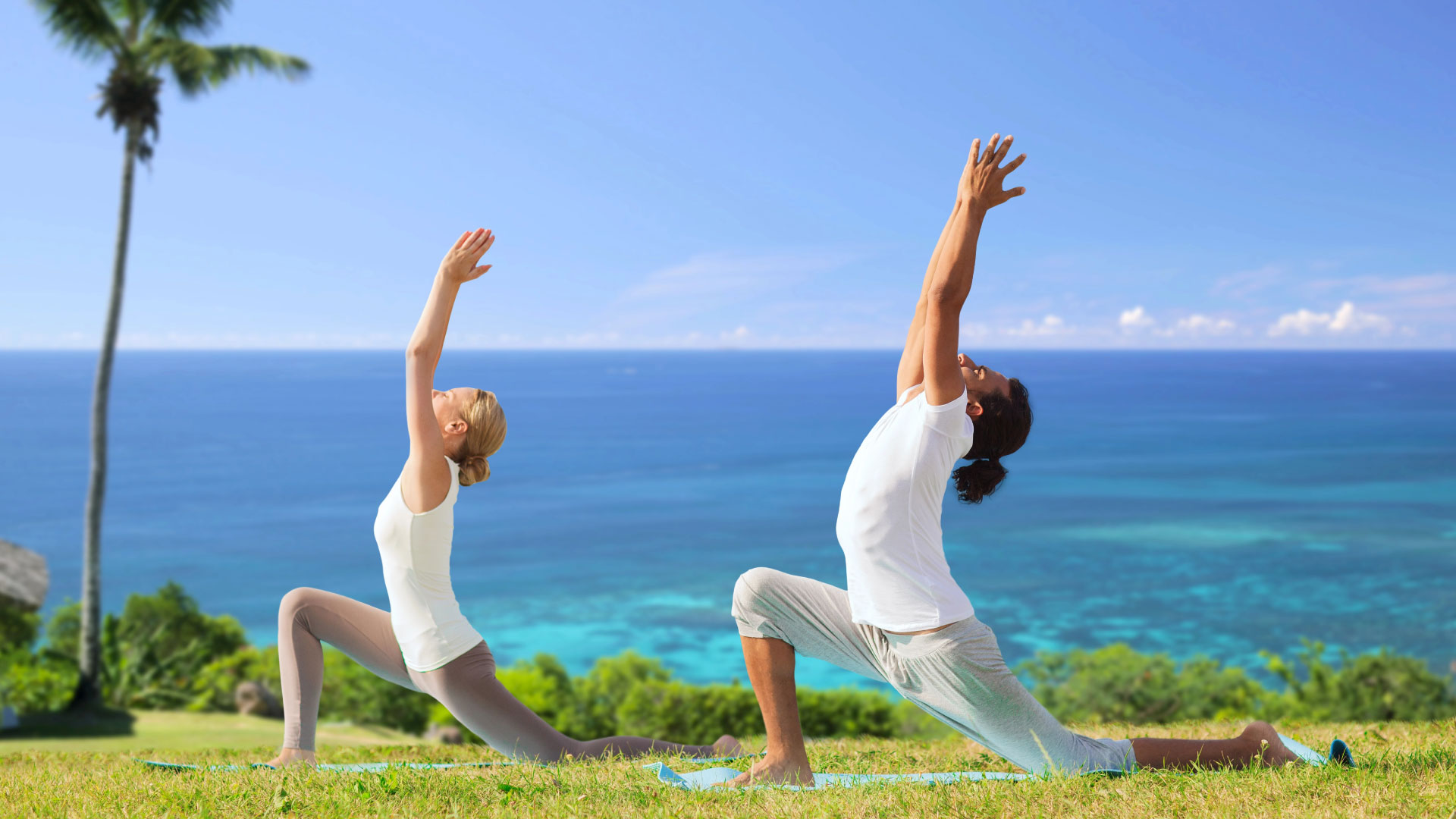 wellness sea